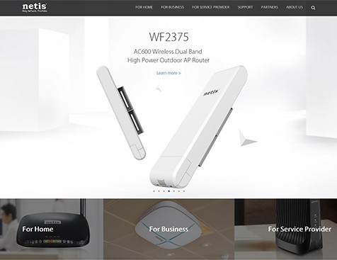 Netis Systems Co., Ltd. 網(wǎng)站建設項目